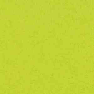 Линолеум FORBO Sarlon Material 15dB 248T4315 lime green canyon фото ##numphoto## | FLOORDEALER